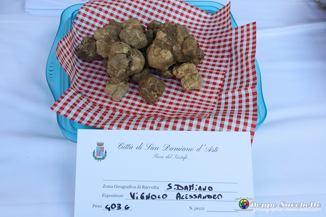 VBS_5609 - 10.ma Fiera Nazionale del Tartufo e Fiera dei Santi.jpg